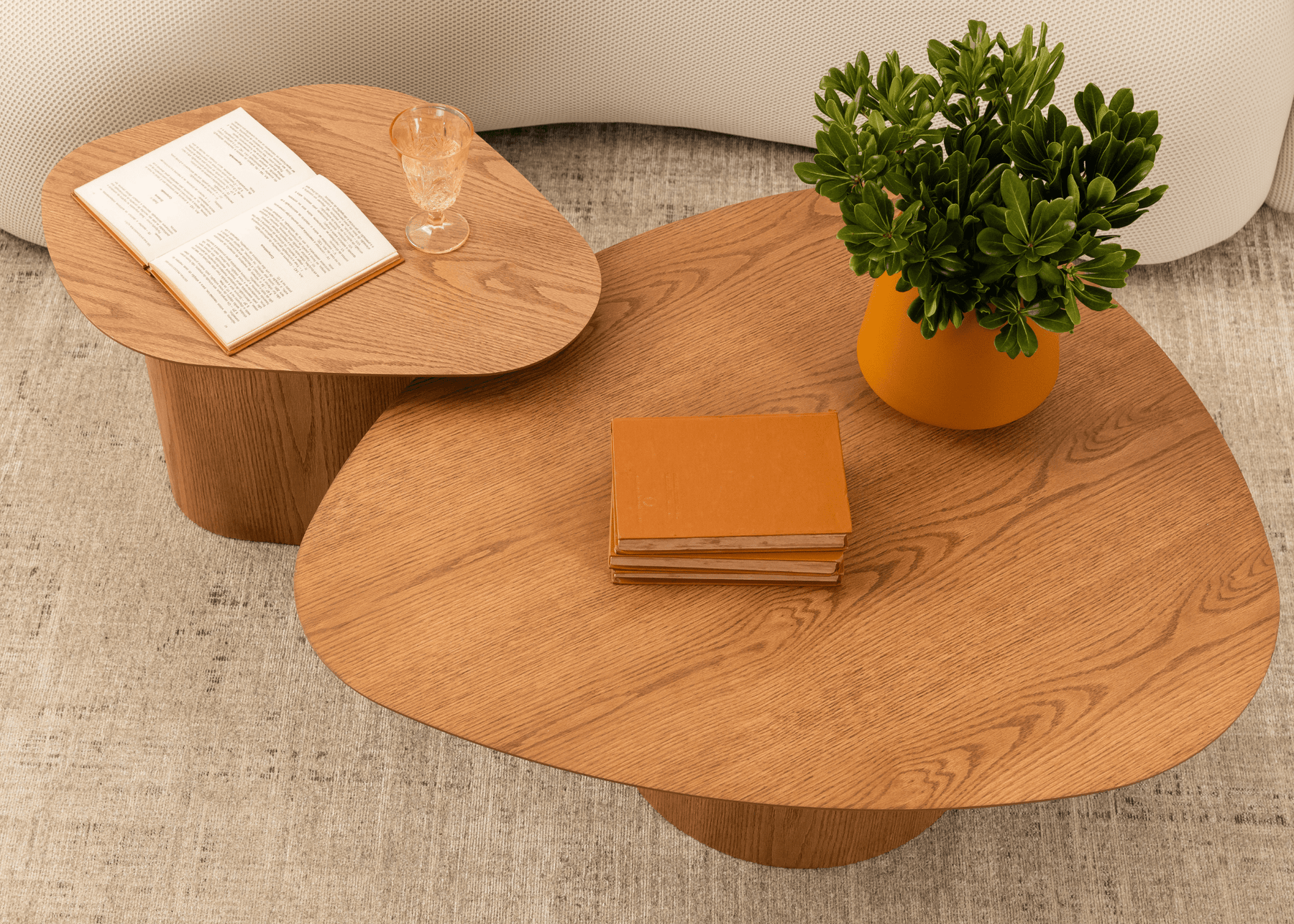 Mesa de Centro Orgânica Raiver