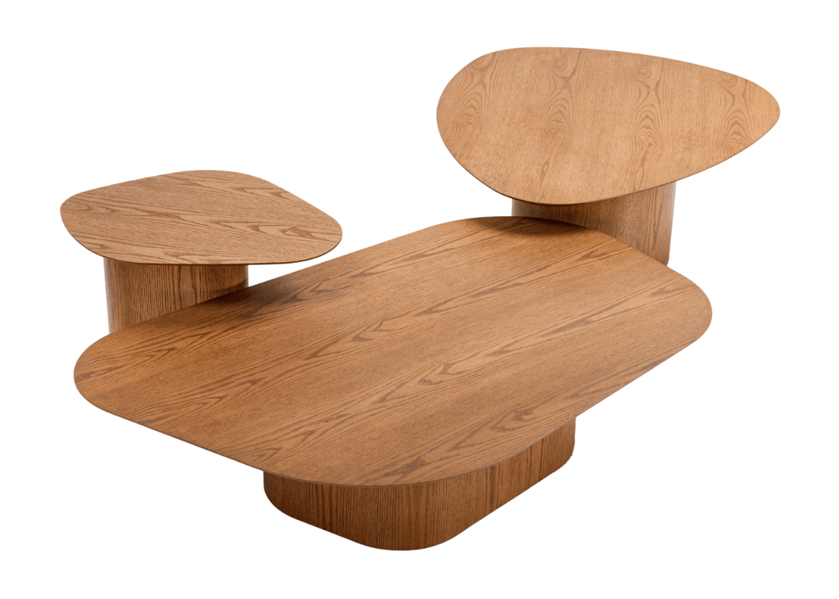 Mesa de Centro Orgânica Raiver
