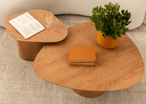 Mesa de Centro Orgânica Raiver